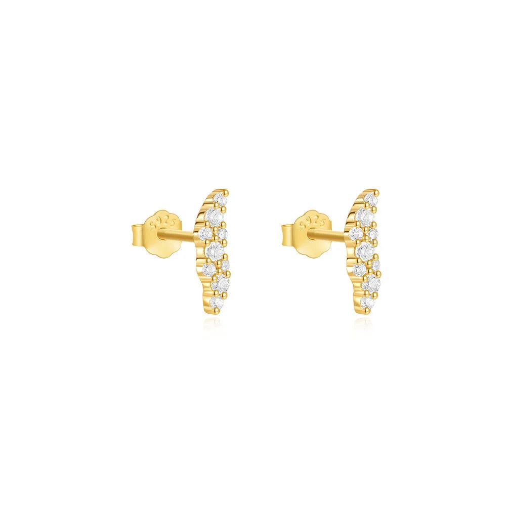 S925 Zircon Earrings