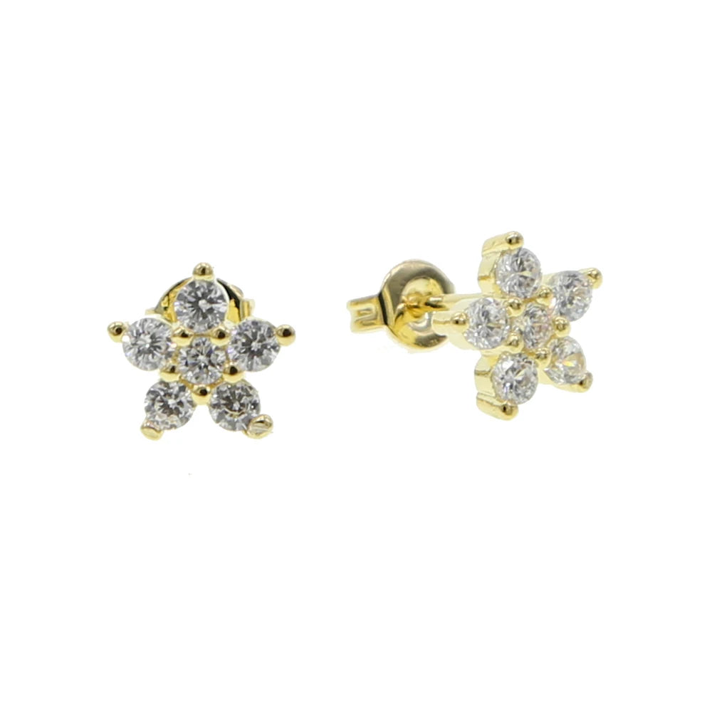 S925 Zircon Earrings