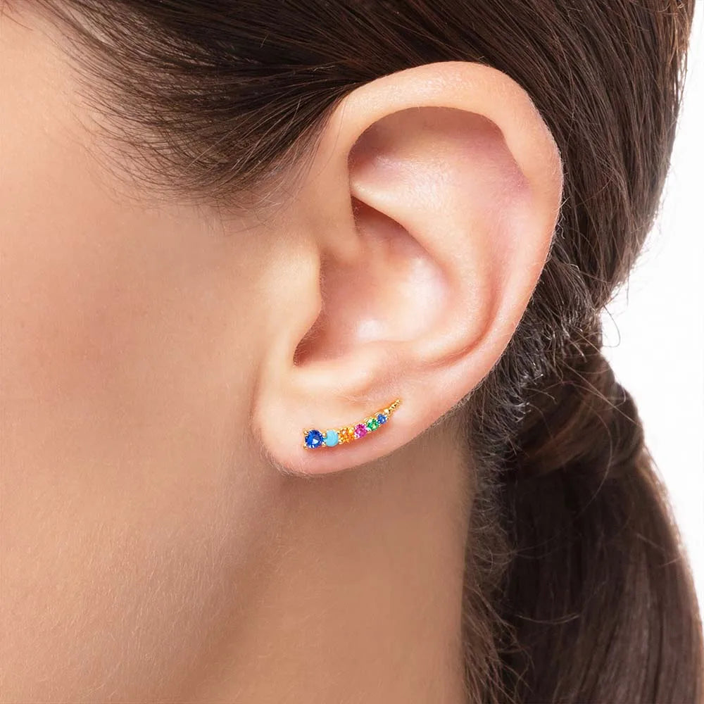 Ear Climber Colourful Earrings