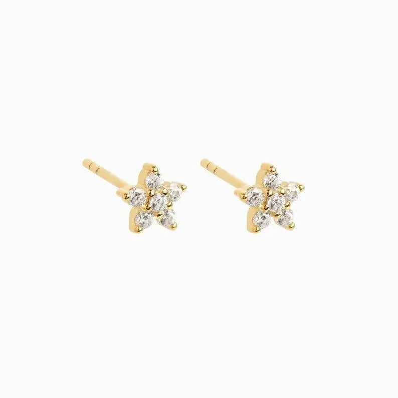 S925 Zircon Earrings